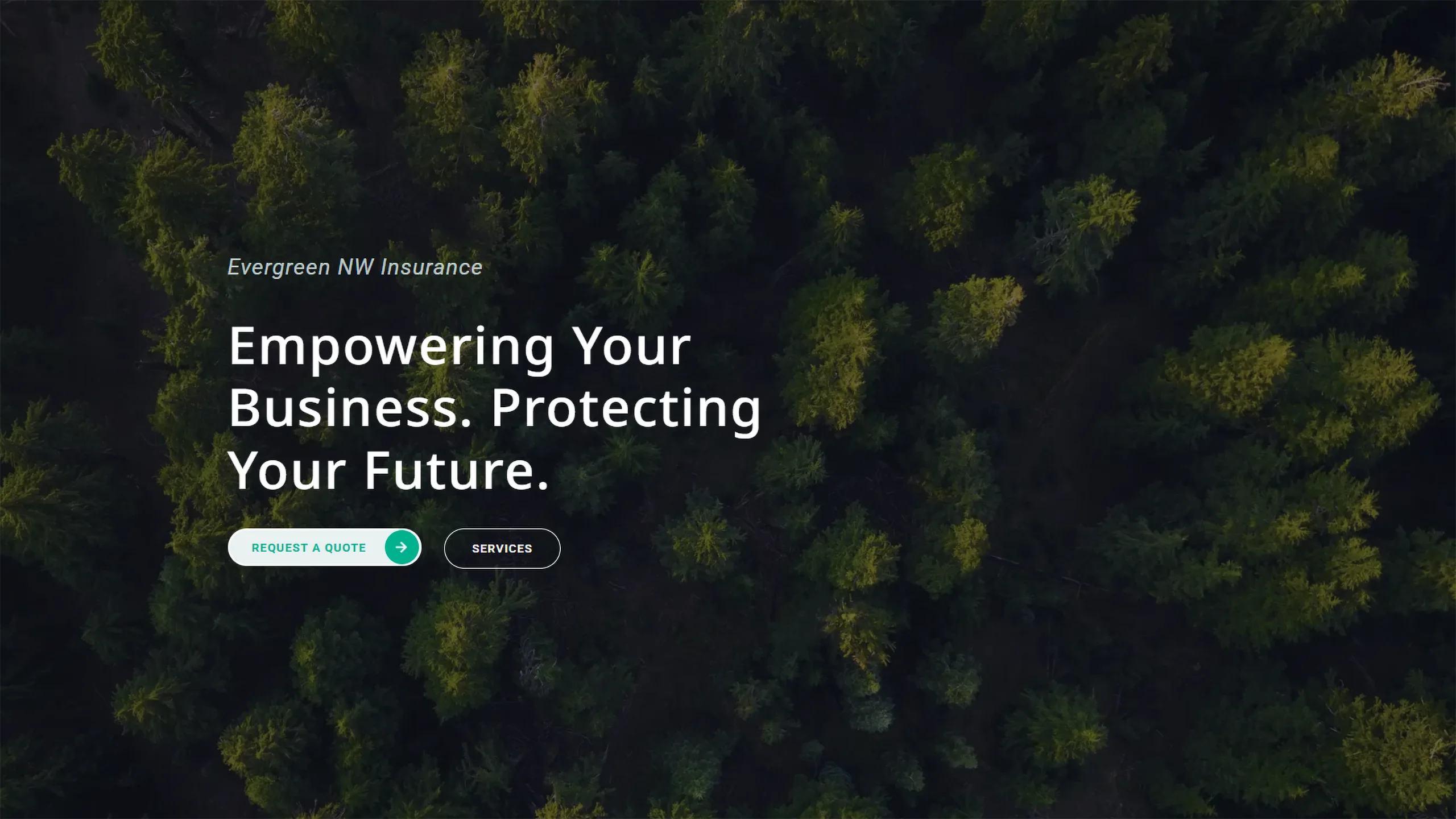 hero banner design for Evergreen NW Insurance website