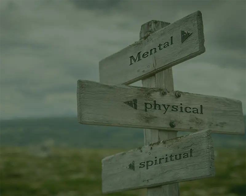 Wooden signpost pointing to mental, physical, and spiritual wellness paths with a muted green overlay.