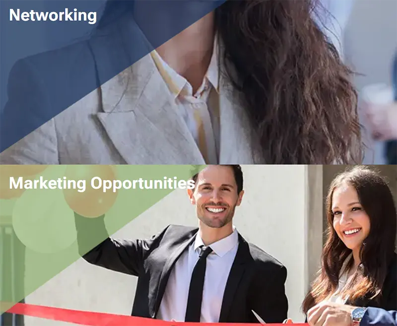 Website graphic highlighting networking and marketing opportunities for chamber members.